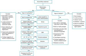 Algorithm for acute diffuse weakness investigation in the emergency setting. AChR, acetylcholine receptor; CK, serum creatine-kinase; CNS, central nervous system; CSF, cerebrospinal fluid; EEG, electroencephalography; EMG, electromyography; GBS, Guillain–Barré syndrome; Hx, history; IgG, immunoglobulin G; K+, serum potassium; MS, multiple sclerosis; NMO, neuromyelitis optica; PE, physical examination; PRES, posterior reversible encephalopathy syndrome; RHS, Ramsay-Hunt syndrome; T4, thyroxine; w/o, without. aA cause of pseudoparalysis. bMyelopathy signs include a sensory level, bladder and/or bowel dysfunction, and paraplegia or tetraplegia.