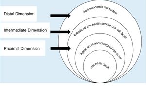 Hierarchical model for the evaluation of neonatal death risk factors, adapted from Mosley & Chen.3