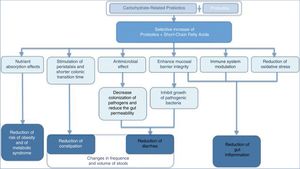 Mechanism of action of carbohydrate-related prebiotics+probiotics and their effects on human health.