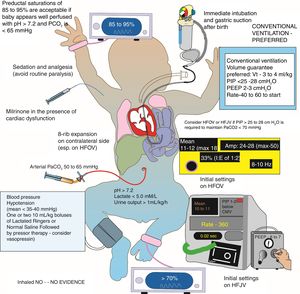Postnatal management of congenital diaphragmatic hernia (CDH) in the neonatal intensive care unit (NICU). Tolerating preductal oxygenation saturations in 85–95% range, preference of conventional ventilation with a low PEEP, and permissive hypercapnia using strategies of gentle ventilation are important elements of NICU management of CDH. HFJV, high frequency jet ventilation; CMV, conventional mechanical ventilation; HFOV, high frequency oscillatory ventilation; PEEP, positive end-expiratory pressure; PIP, positive inspiratory pressure. Copyright Satyan Lakshminrusimha.