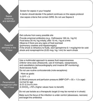 Summary of best practices and targets in septic shock. Adapted from Ames et al.41 SIRS, systemic inflammatory response syndrome; BP, blood pressure; CFT, capillary filling time; MAP, mean blood pressure; CVP, central venous pressure; CI, cardiac index; SVCO2, central venous oxygen saturation.