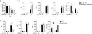 miR-1323 specially regulates Il6 expression in THP-1 cells. a, Level of miR-1323 in THP-1 cells treated by LPS; b, THP-1 cells were treated by anti-miR-1323 oligo, mRNA levels of Il6, Tnf, Il1b, and miR-1323 were measure by qRT-PCR; c, miR-1323 was overexpressed in THP-1 cells, mRNA levels of Il6, Tnf, Il1b, and miR-1323 were measured by qRT-PCR. All qRT-PCR data are presented as the fold induction relative to the Actb mRNA level. MMP, mycoplasma pneumoniae pneumonia; LPS, lipopolysaccharide.