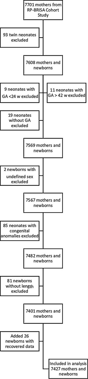 Flowchart of the study population (RP-BRISA Cohort 2010).