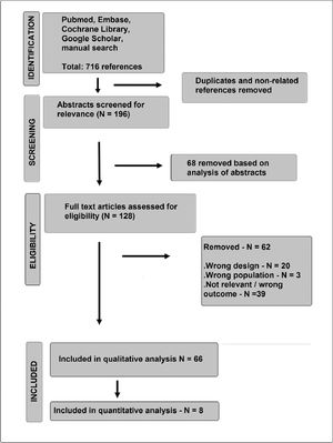 Preferred Reporting Items for Systematic Reviews and Meta-Analyses (PRISMA) flow diagram.
