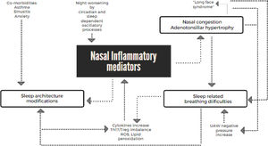 Rhinitis and Sleep interactions in children. UAW, Upper airways; ROS, Reactive oxygen species.