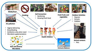 Interaction between indoor and outdoor environment, microbiome and health. Biodiverse environment and lifestyle. (Modified from Haahtela et al.43).