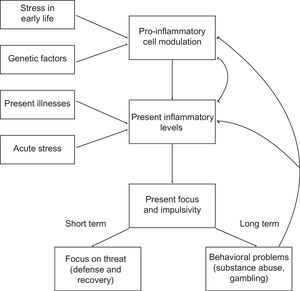 The pro-inflammatory state tends to perpetuate itself, demonstrating the difficulty of leaving this vicious circle for children born in an unfavorable environment.