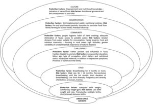 Model 6C adapted to the determinants of children