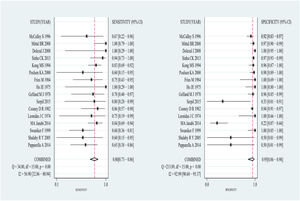 The combined sensitivity and specificity of the included studies.