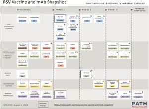 Main RSV vaccines and monoclonal antibodies in development.22 *Adapted from https://www.path.org/resources/rsv-vaccine-and-mab-snapshot/. Reproduced by permission of Path.