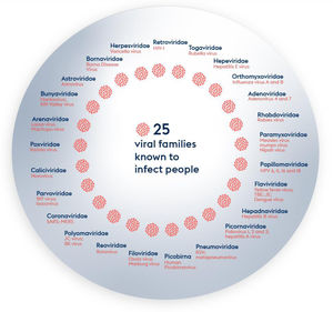Twenty-five viral families and prominent members known to infect humans.