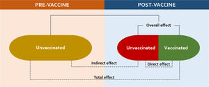 Schematic of the varied vaccine effects in two populations, before and after national introduction, if high uptake is sustained through time (developed by the authors, adapted from Supplemental reference #64).