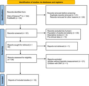 Flowchart of the studies included in the systematic review following PRISMA guidelines.