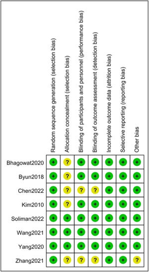 Risk of bias summary.