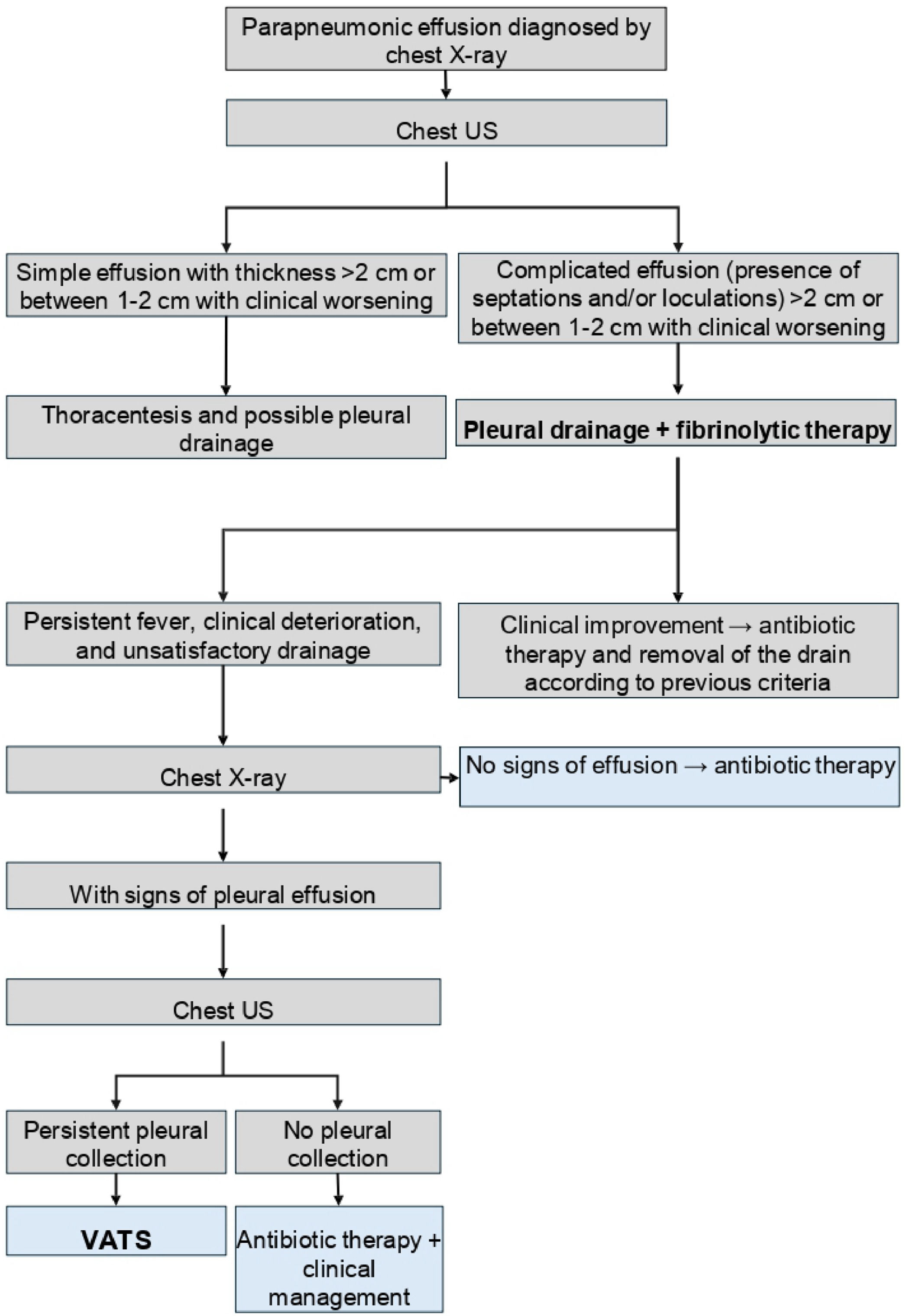 Narrative review and creation of an institutional protocol for the use of  fibrinolytics in parapneumonic effusion in children | Jornal de Pediatria
