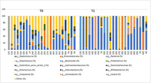 Relative genera abundance in stool samples from preterm newborns over time, 2023. T0 – First fasting sample–meconium T1–Sample on the 7th day of life.