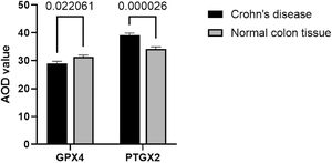 Comparison of the relative expression levels of GPX4 and PTGS2 in the CD and normal colonic tissues.