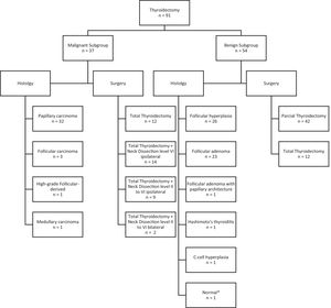Flow chart summarizing the type of surgery and the histopathological diagnosis.