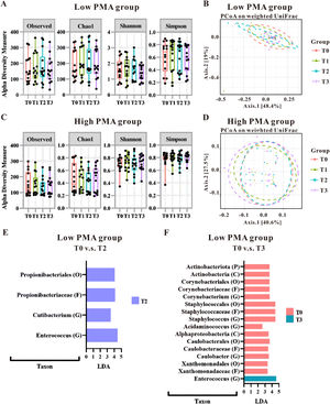 Gut microbial alteration of the preterm infants categorized by postmenstrual age (PMA) at the time of blood transfusion. The impact of transfusions on microbiota patterns was assessed in both low PMA groups (A and B) and high PMA groups (C and D) using alpha-diversity measures (A and C) and beta-diversity measures (B and D). The microbial taxonomy based on the 16S rRNA gene-based NGS sequencing was analyzed using LEfSe algorithm. LDA analysis was conducted to compare the low PMA group at T0 versus T2 (E), as well as T0 versus T3 (F). Taxa that achieved an LDA score greater than 2.0 were identified and labeled accordingly. Taxonomic levels ranging from phylum to species exhibited an LDA score greater than 2.0.