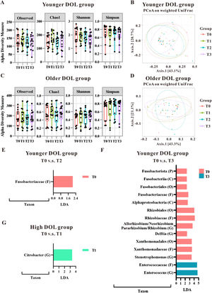 The gut microbial changes observed in preterm infants undergoing blood transfusions, categorized by day of life (DOL; equivalent to postnatal age) at the time of the transfusion. The impact of transfusions on microbiota patterns was evaluated in younger DOL groups (A and B) as well as older DOL groups (C and D) using alpha-diversity measures (A and C) and beta-diversity measures (B and D). Fecal samples were analyzed using the LEfSe algorithm to identify microbial taxonomy based on the 16S rRNA gene-based NGS sequencing. LDA analysis was conducted to compare the younger DOL group at T0 versus T2 (E), T0 versus T3 (F), and compare the older DOL group at T0 versus T1 (G). Taxa with an LDA score greater than 2.0 were identified and labeled accordingly. Taxonomic levels ranging from phylum to species exhibited an LDA score greater than 2.0.