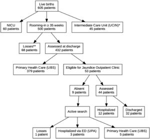 Selection flowchart of newborn infants with gestational age > 35 weeks and weight > 2000 g born between September 2023 and February 2024.