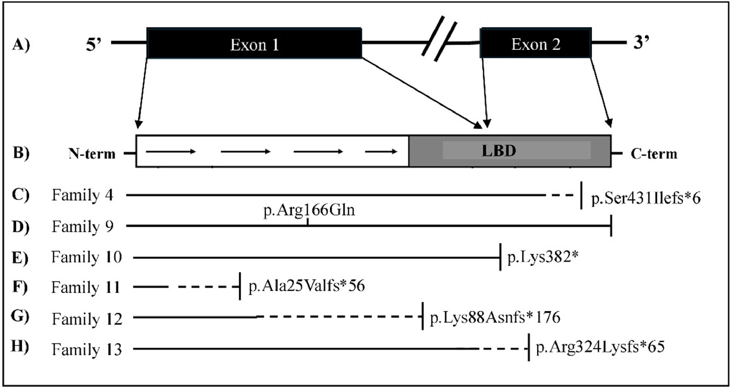 fig0001