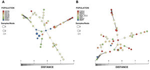 Minimum spanning tree of the relationship between the 47 genotypes among the 51 isolates of C. parapsilosis sensu stricto isolated from the bloodstream. Each circle represents a unique genotype, while circle size corresponds to the number of isolates of the specific genotype and the color of the isolates represents the year of isolation (A) or hospital setting. ICU, intensive care unit; CICU, cardiac intensive care unit; NICU, neonatal intensive care unit; GICU, general intensive care unit; Non-ICU, Other clinical units; HO, hematology-oncology; SICU, surgical intensive care unit; BMT, bone marrow transplant.