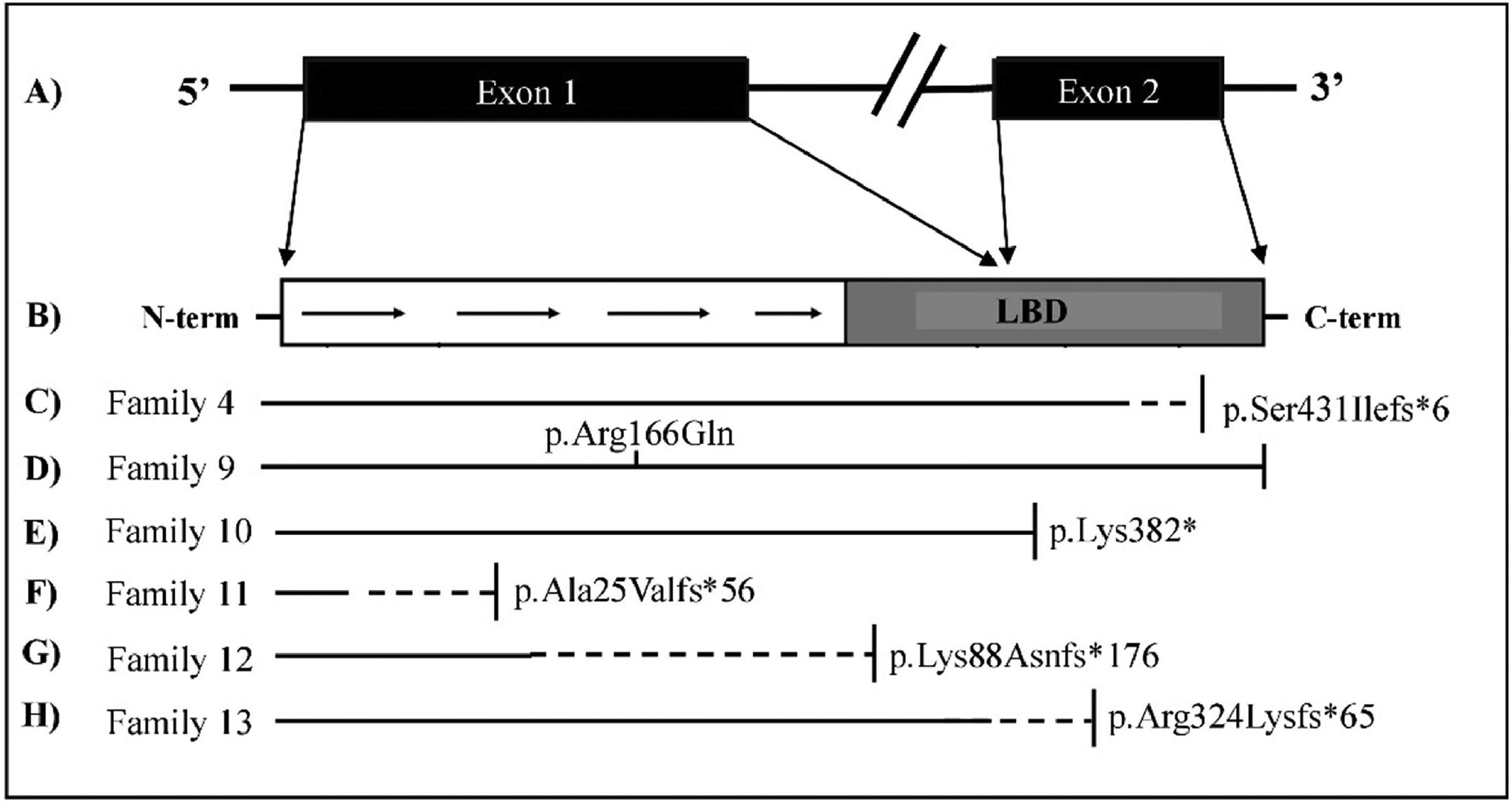 fig0001