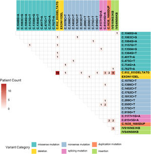 Genetic landscape of SLC25A13 variants in 55 NICCD patients.