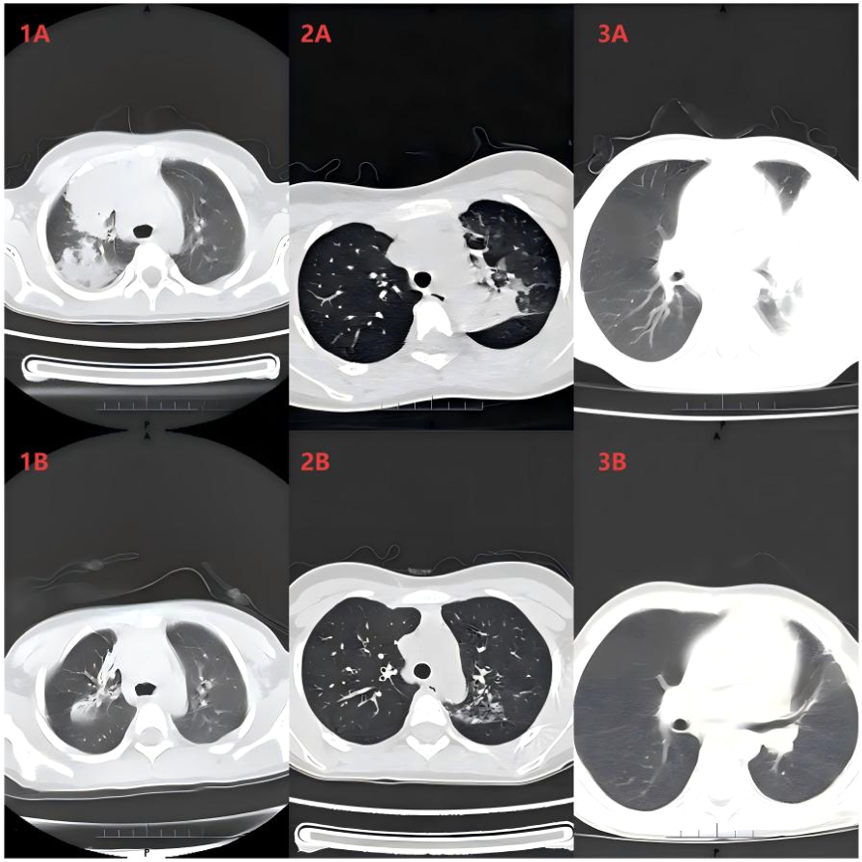 fig0002