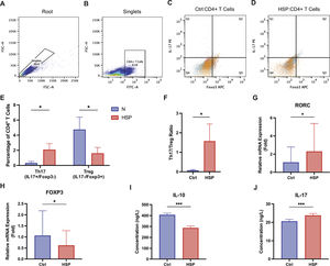 Th17/Treg imbalance in HSP children. Flow cytometry and molecular analysis of Th17 and Treg subsets in PBMCs from healthy controls (Ctrl, n = 42) and HSP patients (HSP, n = 42). (A–B) Representative flow cytometry gating strategy from one subject. (A) Singlets gate based on FSC-A/FSCH scatter plot. (B) CD4⁺ T cells gate (FITC-A⁺, 99.1% of singlets). (C-D) Identification of Th17 (CD4⁺IL-17A⁺, upper right quadrant) and Treg (CD4⁺FOXP3⁺, lower right quadrant) subsets. (E) Percentage of Th17 and Treg cells among CD4+ T cells (n = 42/group). (F) Th17/Treg ratio. (G–H) Relative mRNA expression of RORC and FOXP3 (n = 42/group). (I–J) Serum concentrations of IL-10 and IL-17 (n = 42/group). Data are means ± SD, * P < 0.05; *** P < 0.001.