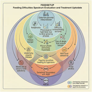 The FEEDSETUP framework.