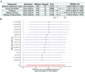 The genetic association results between allergic diseases and short stature. (A). The IVW results between allergic diseases and short stature. (B). Leave-one-out sensitivity analysis of the association between allergic diseases and short stature.