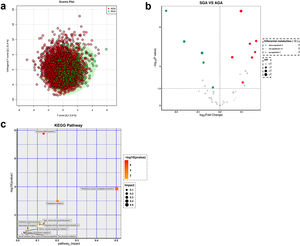 Metabolomic analysis of blood from term SGA and AGA newborns. (a) Clustering chart of orthogonal partial least squares discriminant analysis (OPLS-DA) for term SGA and AGA groups. (b) Volcano plot of differential metabolites between term SGA and AGA groups. (c) The pathway analysis of the SGA and AGA groups at term (POS-Pathway Analysis). The y-axis represents the value of -log10 (P-value) and the x-axis represents the Rich factor. SGA: small for gestational age; AGA: appropriate for gestational age.