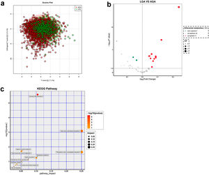 Metabolomic analysis of blood in LGA and AGA newborns at term. (a) The orthogonal partial least squares discriminant analysis clustering plot of term LGA and AGA newborns. (b) The volcano plot of the LGA and AGA groups at term. (c) The pathway analysis of the LGA and AGA groups at term (POS-Pathway Analysis). The y-axis represents the value of -log10 (P-value), and the x-axis represents the Rich factor. AGA: appropriate for gestational age; LGA: large for gestational age.