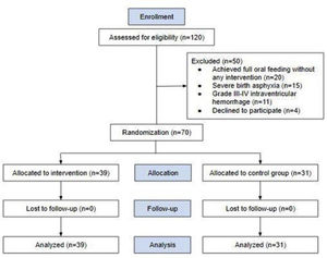 Flow of study participants.