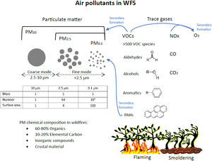 WFS contains a myriad of air pollutants, including particulate matter and trace gases. Photochemical reactions lead to the formation of secondary pollutants like O3 and secondary organic PM. The insert table compares the physical properties of three samples of PM with the same mass concentration (arbitrarily defined as 1) but with different particle sizes. Fine mode particles have higher number concentrations and surface area compared to coarse mode particles. The ability of PM2.5 and PM0.1 to penetrate deeper into the respiratory system and their higher surface area result in higher toxicity compared to larger particles.