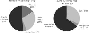 Distribution of cases of thyroid dysgenesis and gland-in-situ in congenital hypothyroidism patients between 1994 and 2019 in Minas Gerais.