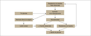 Efectos de la reabsorción de glucosa sobre la hiperglucemia. Modificada de referencias 22 y 23.