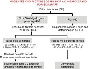 Algoritmo para la detección y evaluación de EHGNA en atención primaria. 1: factores de riesgo, obesidad, diabetes tipo 2, dislipidemia, hipertensión arterial, síndrome metabólico. 2: pacientes que presentan hígado graso en ecografía hecha por cualquier motivo. FIB-4: Fibrosis 4 score; FLI: Fatty Liver Index; NFS: NAFLD fibrosis score.