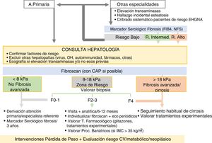 Algoritmo para la detección y evaluación de EHGNA en atención hospitalaria. CV: cardiovascular; FIB-4: Fibrosis 4 score; IMC: índice de masa corporal; NFS: NAFLD fibrosis score.