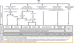 Sistema de estadiaje BCLC (Barcelona-Clinic-Liver-Cancer). PS: Performance status; BSC: Best supportive care. Adaptado de Forner et al.194.