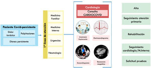 Protocolo de actuación ante el paciente con COVID persistente con sintomatología cardiovascular. Consulta de alta resolución presencial, donde la anamnesis detallada, exploración física, electrocardiograma y ecocardiografía desempeñan un papel fundamental. Pruebas más específicas, como la resonancia cardiaca, la monitorización 24 h o la ergoespirometría, serán indicadas en una minoría de los enfermos tras su evaluación.