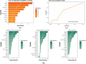 Random forest model construction and evaluation. (a) The Gini index-based variable importance ranking plot derived from the random forest model. (b) The feature importance ranking plot based on the random forest model. (c) The cross-validation ROC curve plot based on the random forest model. Abbreviations: BMI, body mass index; BP, blood pressure; CRP, C-reactive protein; FBG, fasting blood glucose; HDL, high-density lipoprotein; LDL, low-density lipoprotein; TC, total cholesterol; TG, triglycerides; Tyg, triglyceride-glucose index.