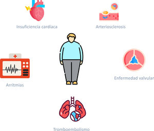 Principales enfermedades cardiovasculares asociadas a la obesidad. Imágenes: Flaticon.com