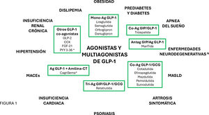Agonistas y multiagonistas del receptor de GLP-1 y otros receptores de estructura unimolecular o en combinación y las enfermedades sobre las que han mostrado eficacia en modelos clínicos o preclínicos. CT: calcitonina; CCK: colecistoquinina; FGF-21: factor de crecimiento fibroblástico-21; GLP-2: péptido análogo al glucagón tipo2. MACEs: eventos adversos cardiovasculares mayores; MASLD: disfunción metabólica asociada a enfermedad hepática esteatósica; PYY 3-36: péptido tirosina-tirosina 3-36. * Combinaciones de agonistas. & Los agonistas de receptor de GLP-1 han mostrado efectos beneficiosos en modelos preclínicos de enfermedades neurodegenerativas, aunque el establecimiento de su eficacia clínica en la prevención y tratamiento requiere estudios adicionales.