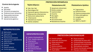 Fármacos basados en GLP-1: mecanismos implicados en el tratamiento de la obesidad