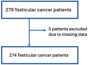 Flowchart of testicular cancer patients included in this study.