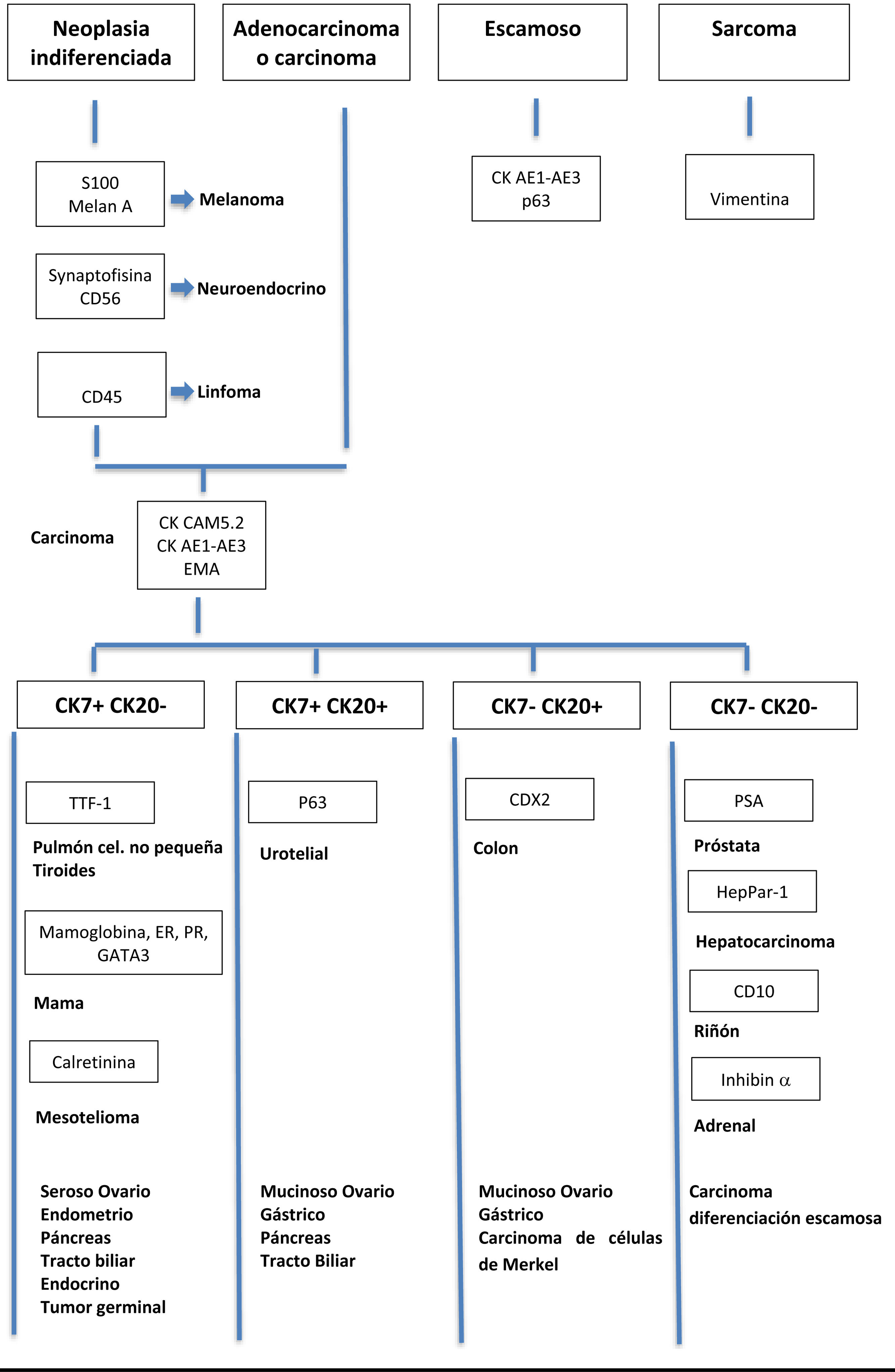 fig0005