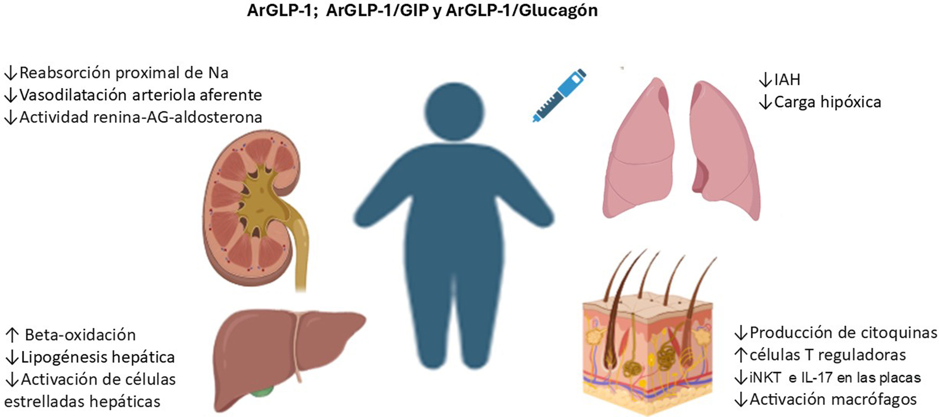 semaglutide and pregnancy Impact of semaglutide exposure on fetal and neonatal outcomes in pregnant  women: a systematic review